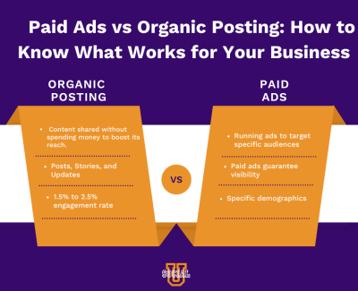 Paid Ads vs Organic Posting: How to Know What Works for Your Business